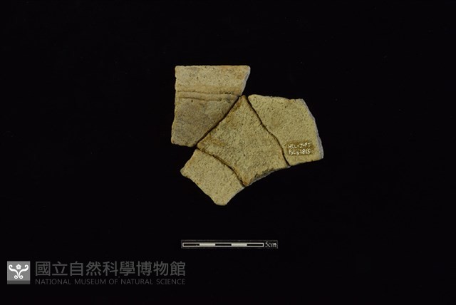 陶罐藏品圖，第2張