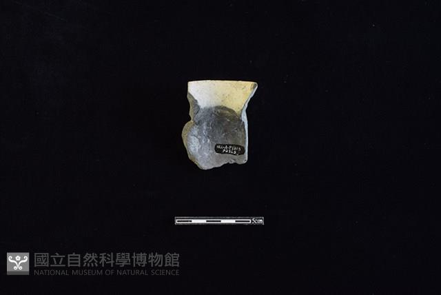 陶罐藏品圖，第2張