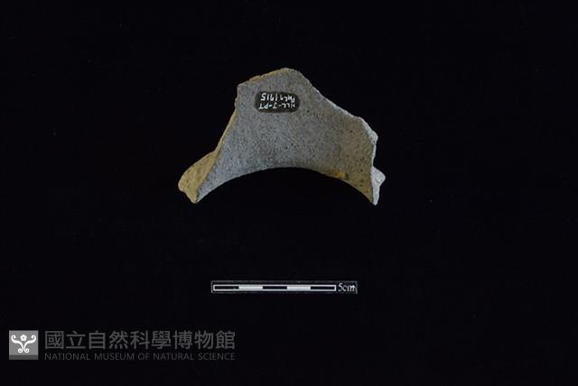 陶罐藏品圖，第2張