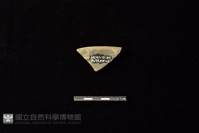 陶罐藏品圖，第2張