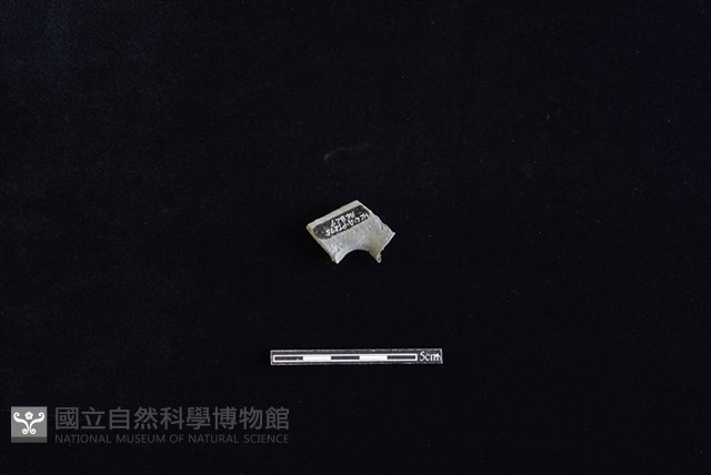 陶甑藏品圖，第2張