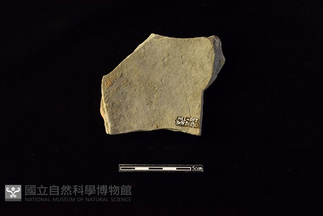 陶片藏品圖，第2張