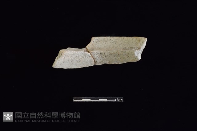 陶罐藏品圖，第2張