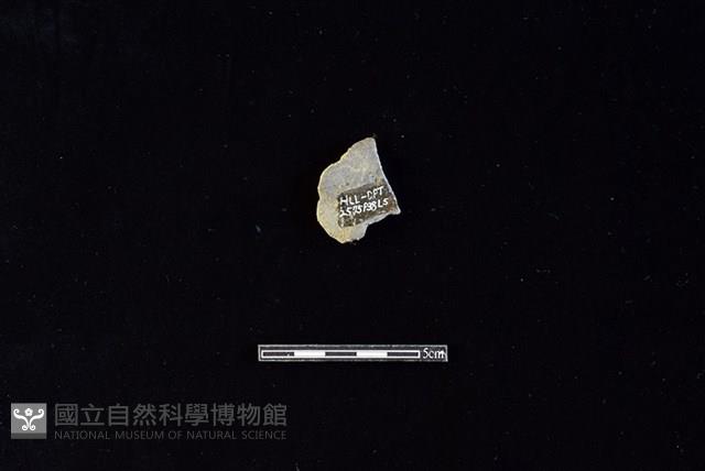 陶罐藏品圖，第2張