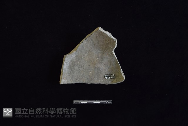 陶片藏品圖，第2張