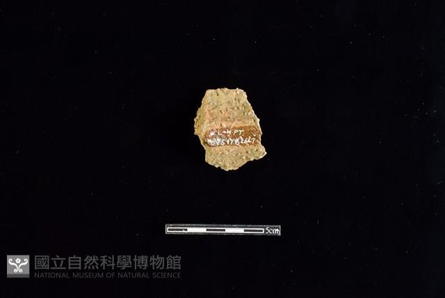 陶罐藏品圖，第2張