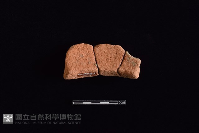 陶罐藏品圖，第2張