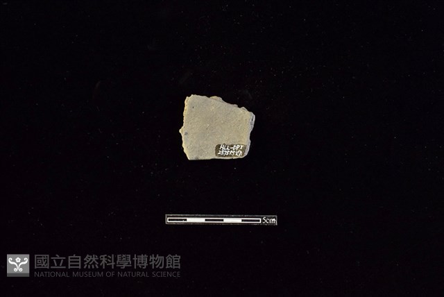 陶片藏品圖，第2張