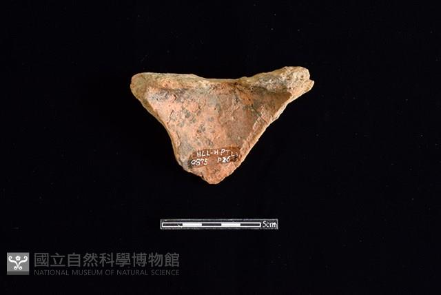 連杯形器藏品圖，第2張