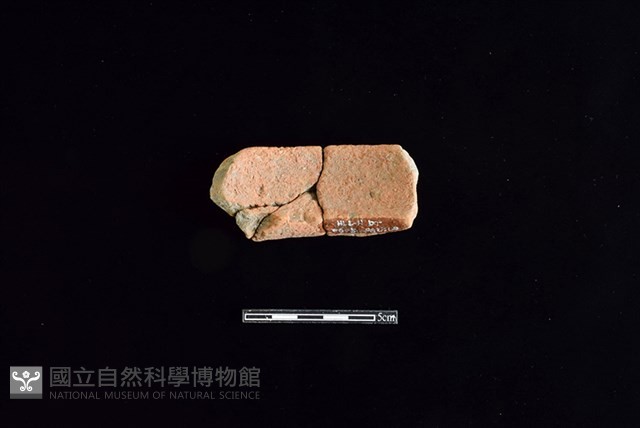 陶罐藏品圖，第2張