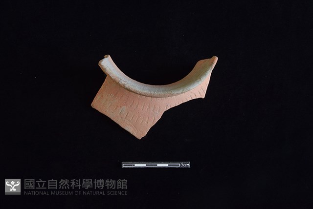 陶罐藏品圖，第2張