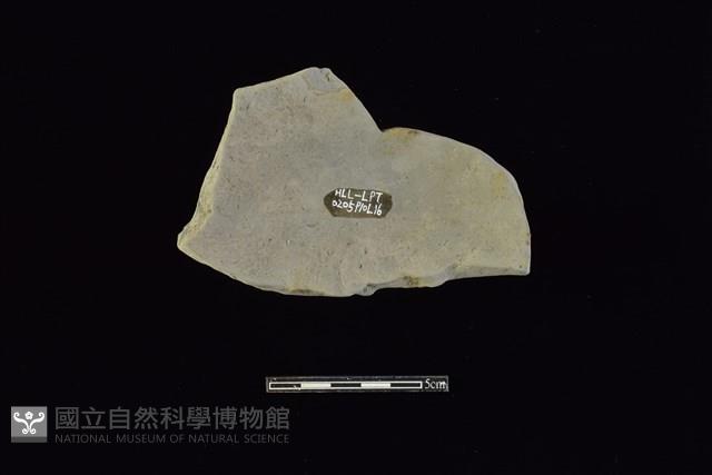 陶蓋鈕藏品圖，第2張