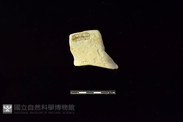 連杯形器藏品圖，第2張