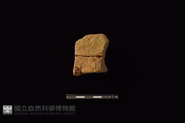 陶罐藏品圖，第2張