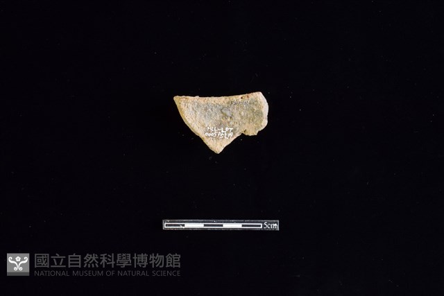 陶缽藏品圖，第2張