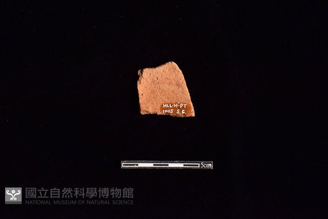 陶片藏品圖，第2張