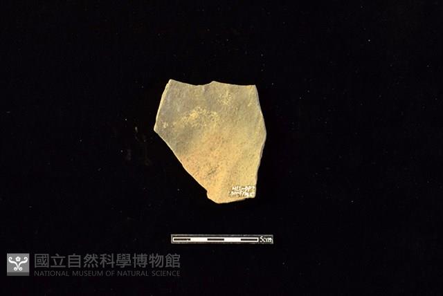 陶片藏品圖，第2張