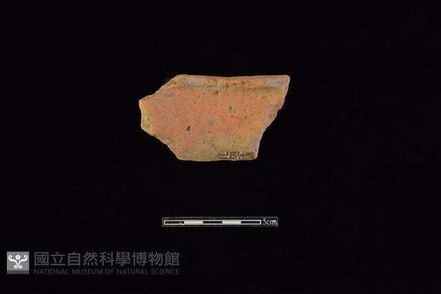 陶片藏品圖，第2張