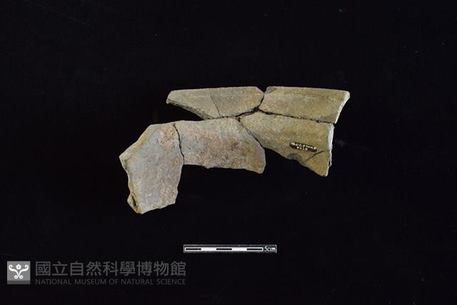 陶罐藏品圖，第2張