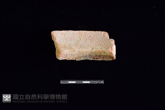 陶罐藏品圖，第2張