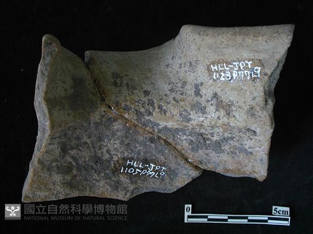 陶匜藏品圖，第2張