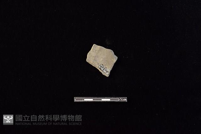 陶片藏品圖，第2張