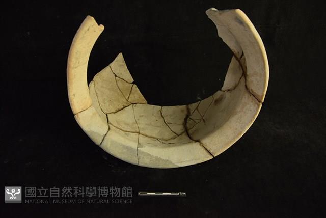 陶罐藏品圖，第2張