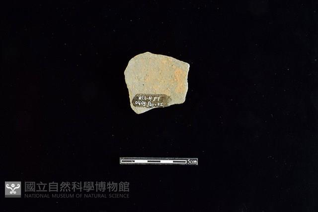 陶片藏品圖，第2張