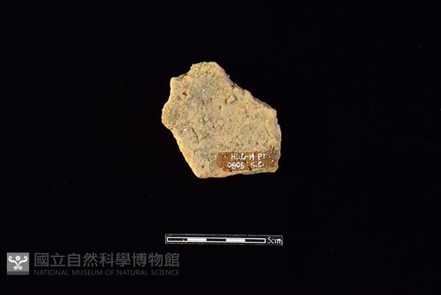 陶片藏品圖，第2張