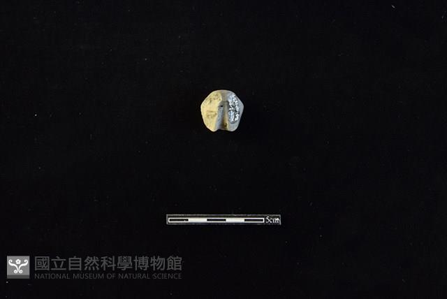 陶紡輪藏品圖，第2張