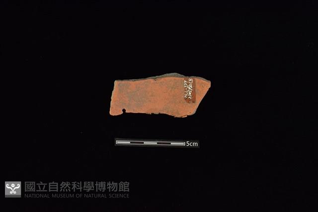 陶片藏品圖，第2張