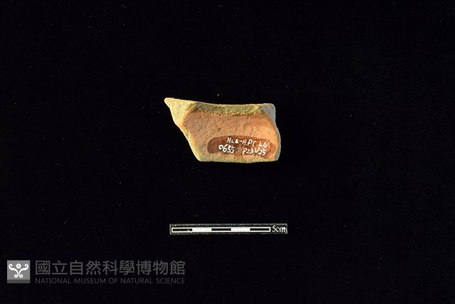 陶片藏品圖，第2張