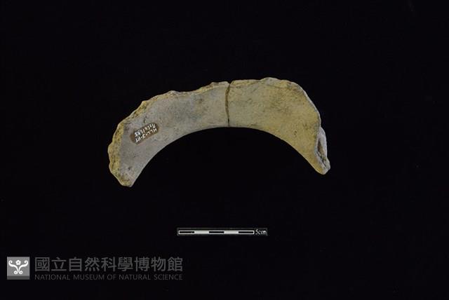 陶罐藏品圖，第2張