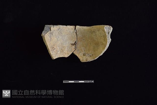 陶缽藏品圖，第2張