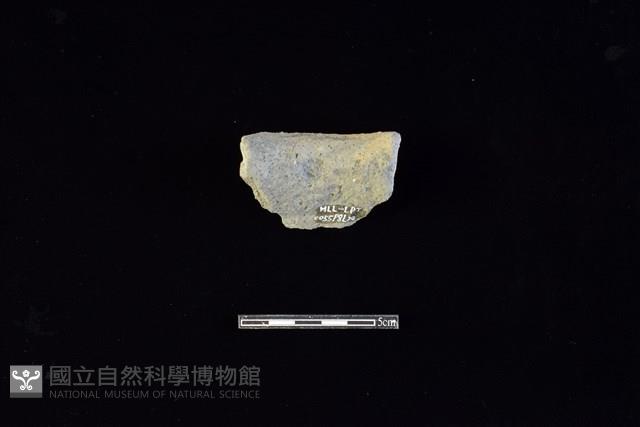 陶片藏品圖，第2張