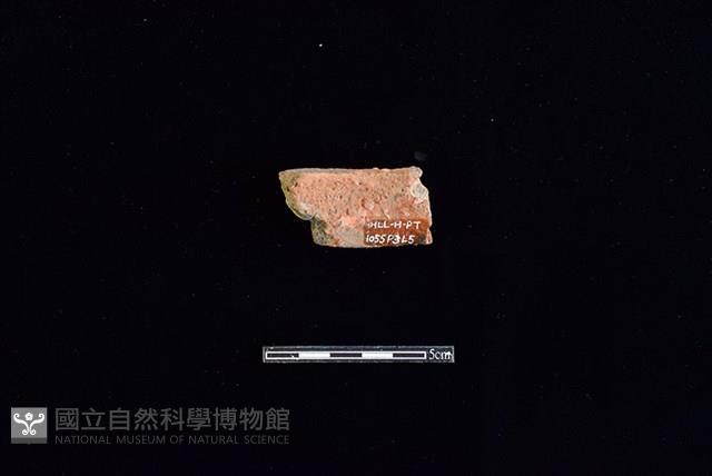 陶片藏品圖，第2張