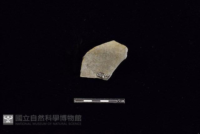 陶罐藏品圖，第2張