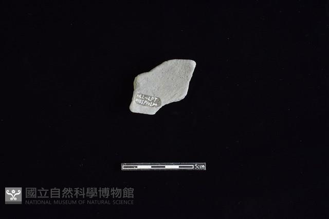 陶片藏品圖，第2張