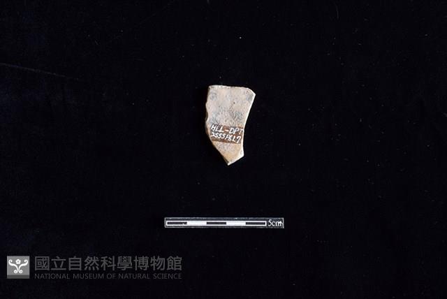 陶片藏品圖，第2張