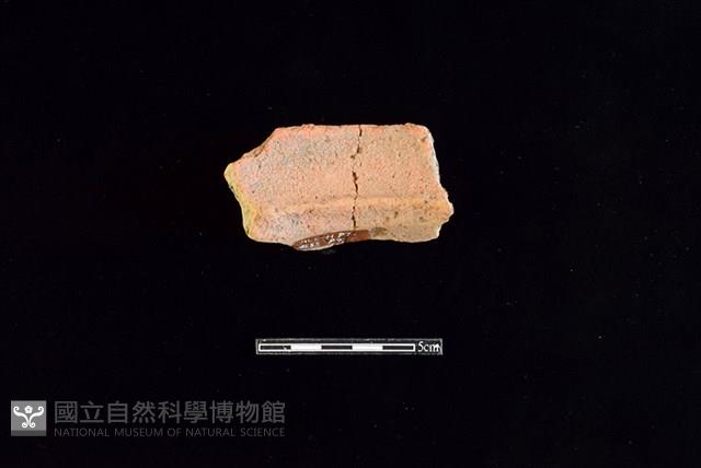 陶罐藏品圖，第2張