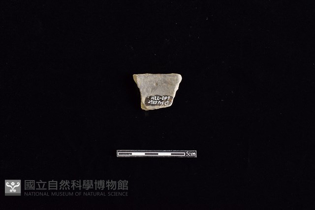 陶片藏品圖，第2張