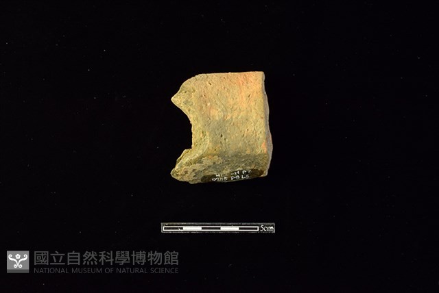陶罐藏品圖，第2張