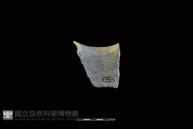 陶罐藏品圖，第2張