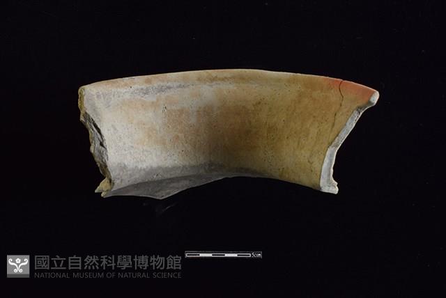 陶罐藏品圖，第2張