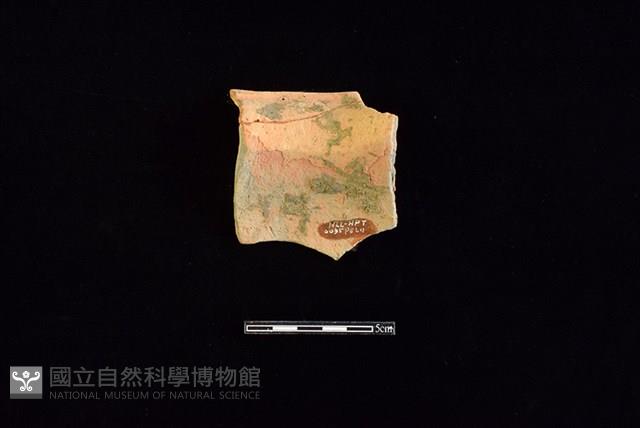 陶罐藏品圖，第2張