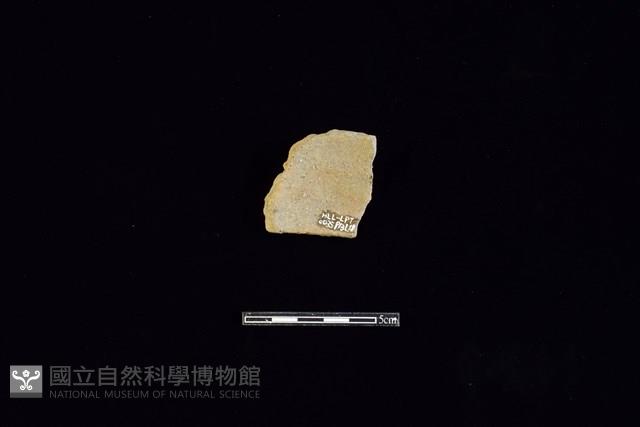 陶片藏品圖，第2張