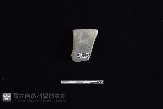 陶罐藏品圖，第2張