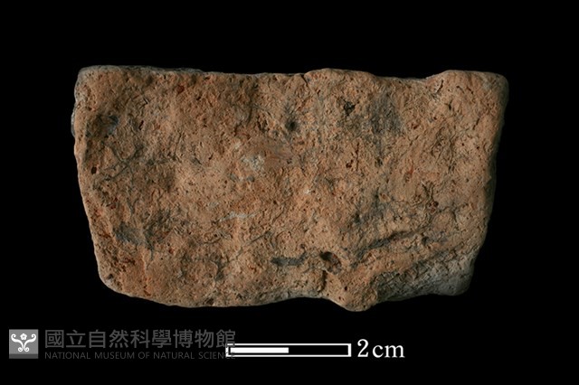 陶片藏品圖，第2張