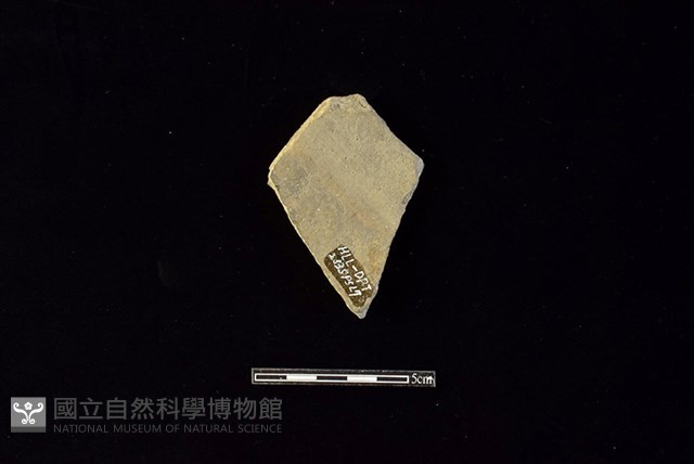 陶片藏品圖，第2張