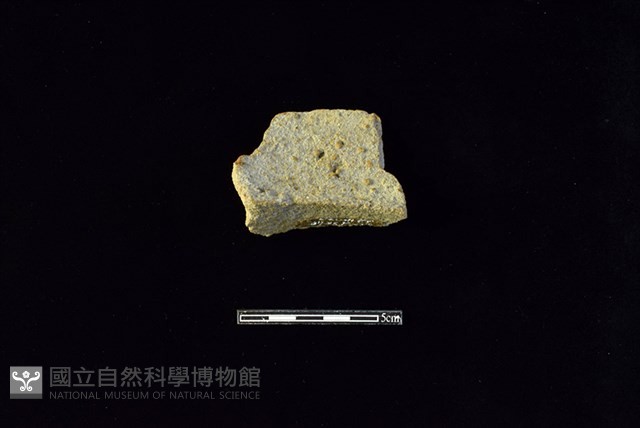 陶罐藏品圖，第2張